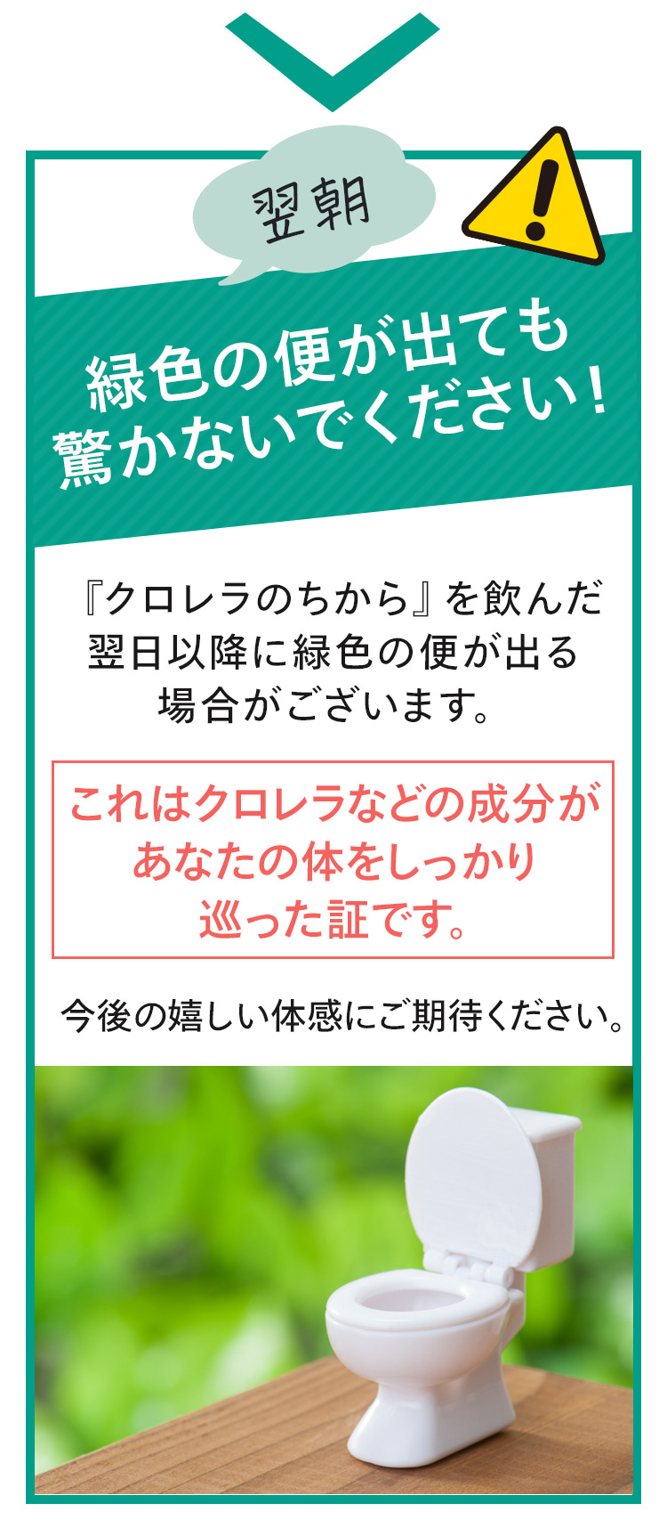 翌朝、緑色の便が出ても驚かないでください！