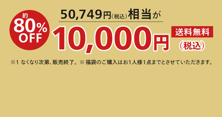 80%OFF お得な福袋 10,000円のご注文はこちら