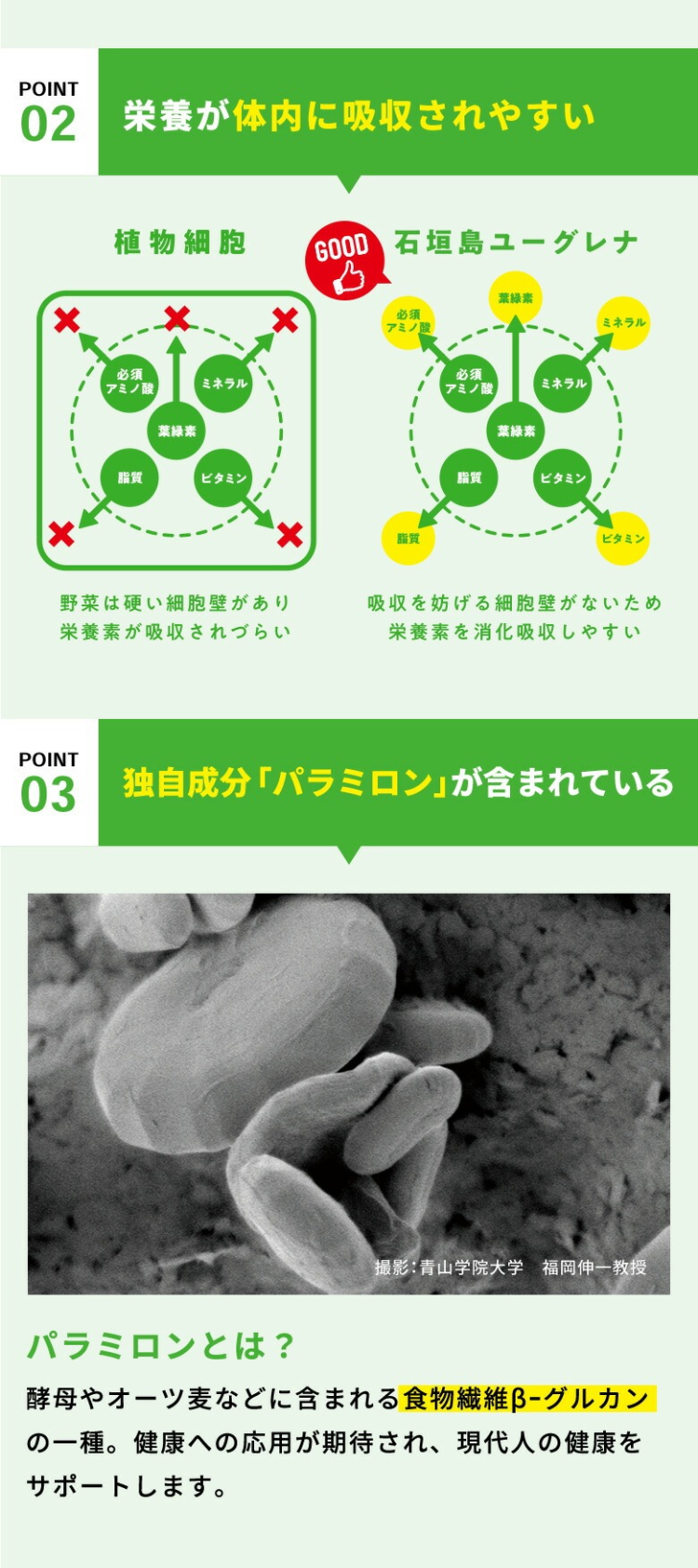 栄養が体内に吸収されやすい。独自成分「パラミロン」が含まれている。