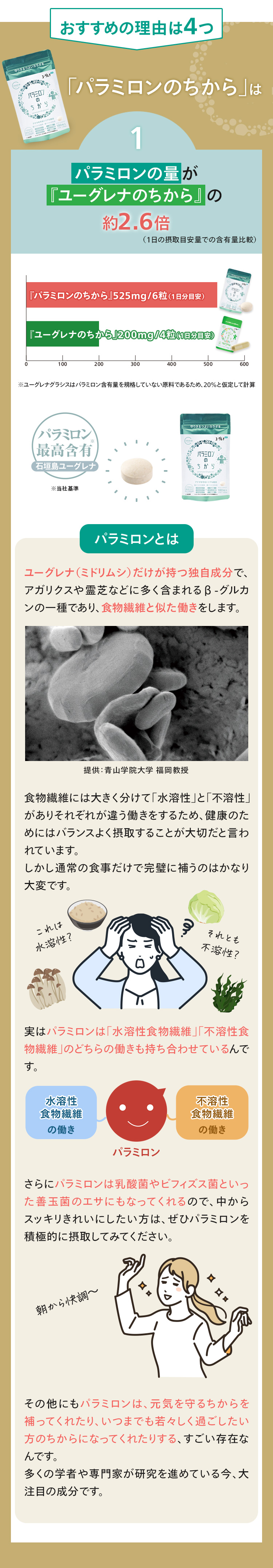 おすすめの理由は4つ【おすすめの理由1】