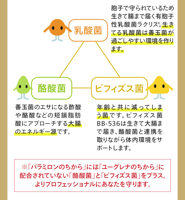 「パラミロンのちから」には「乳酸菌」「酪酸菌」「ビフィズス菌」を配合