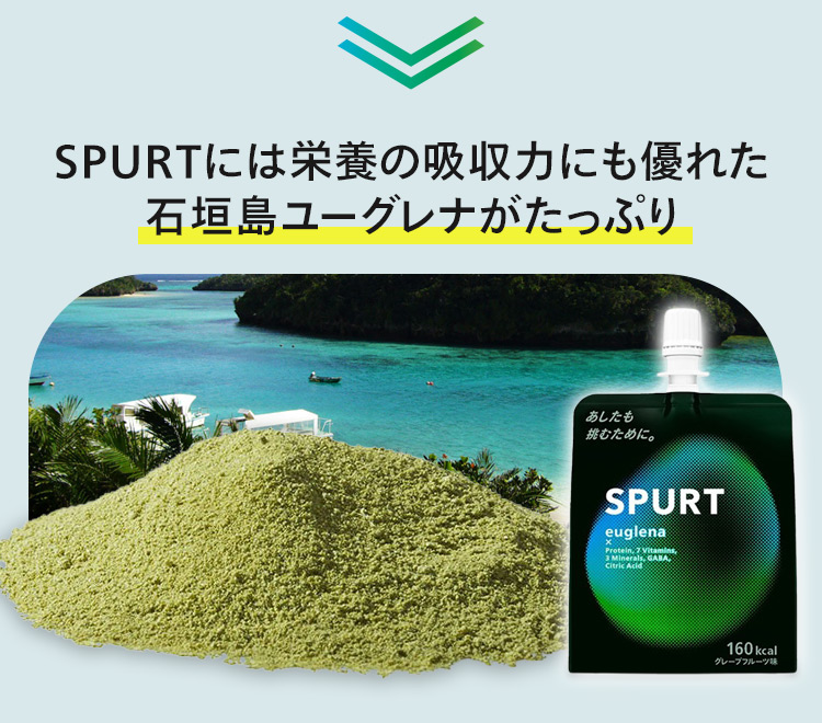 SPURTには栄養の吸収力にも優れた石垣島ユーグレナがたっぷり。